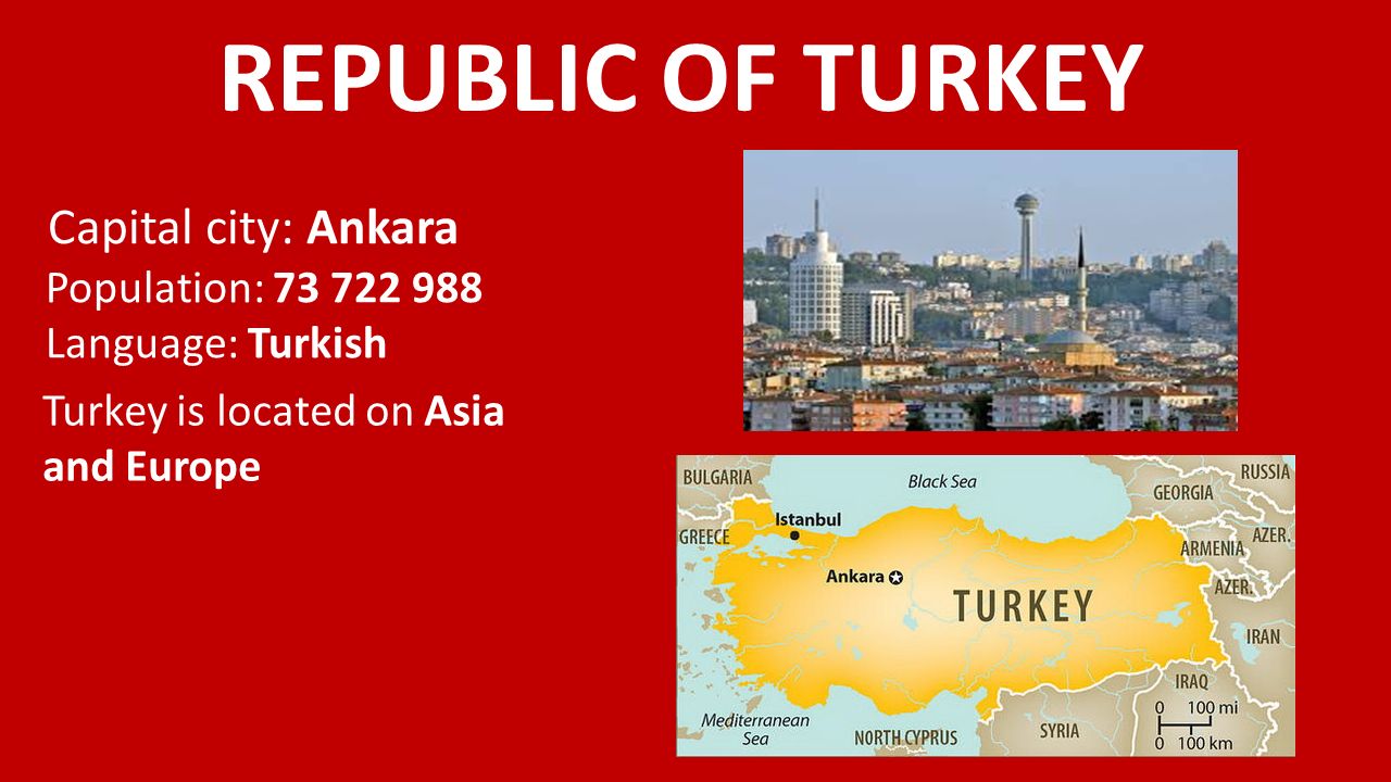 turkey presentation